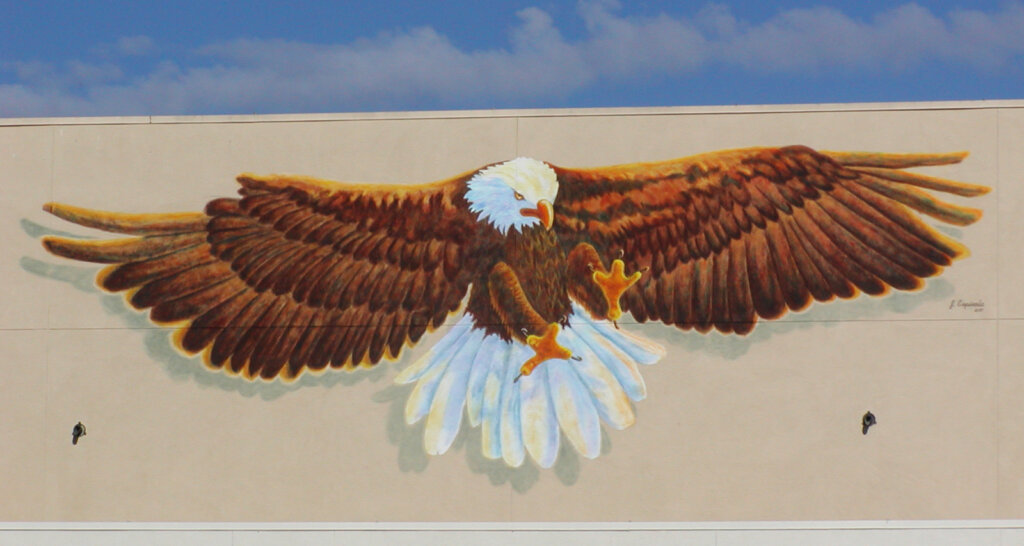 custom school signs Los Altos high gym exterior wall large eagle mascot mural painting close up