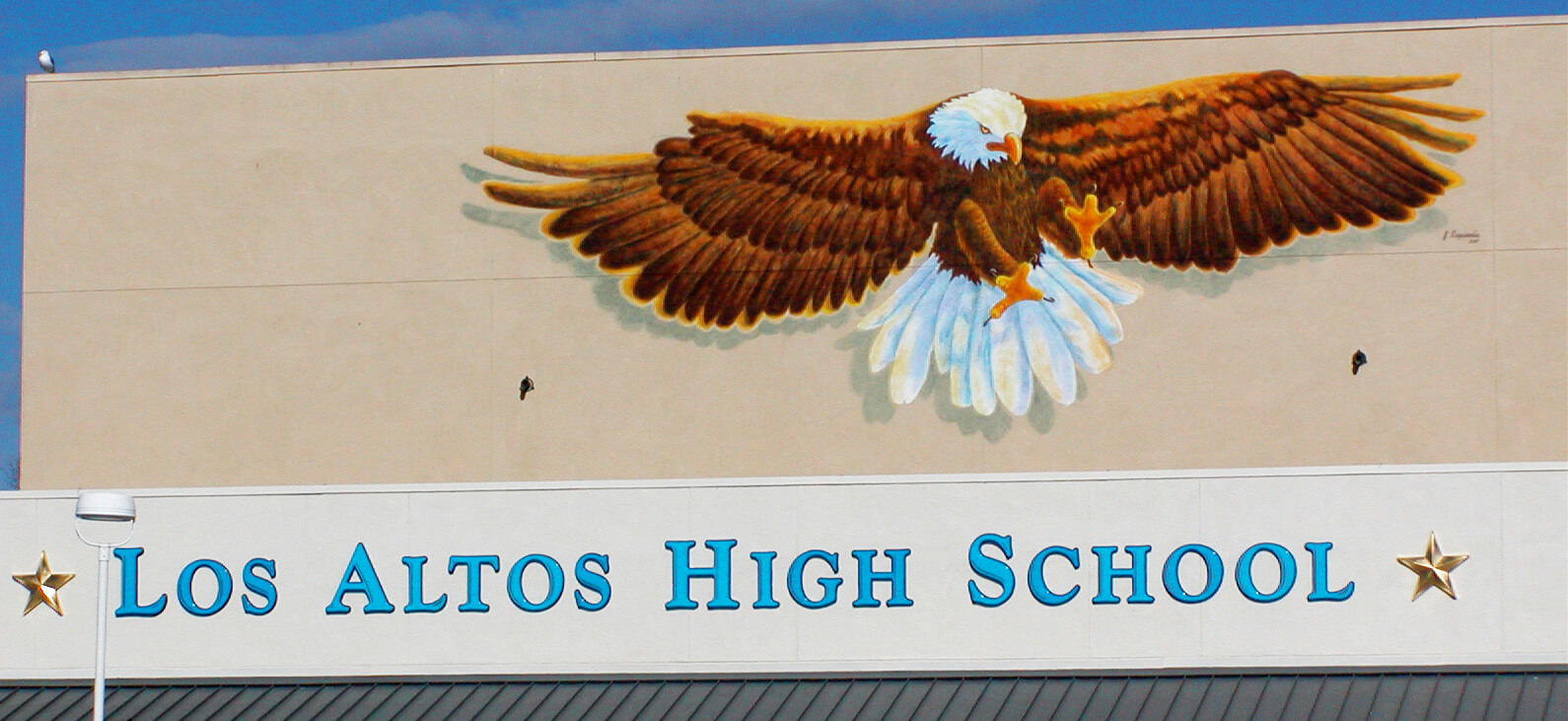 custom school signs Los Altos high gym exterior wall large eagle mascot mural painting