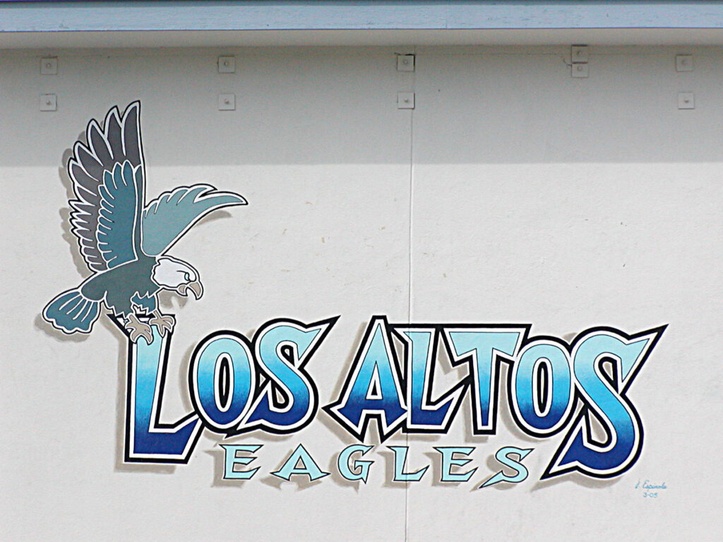 custom school signs Los Altos high gym exterior wall mascot mural painting