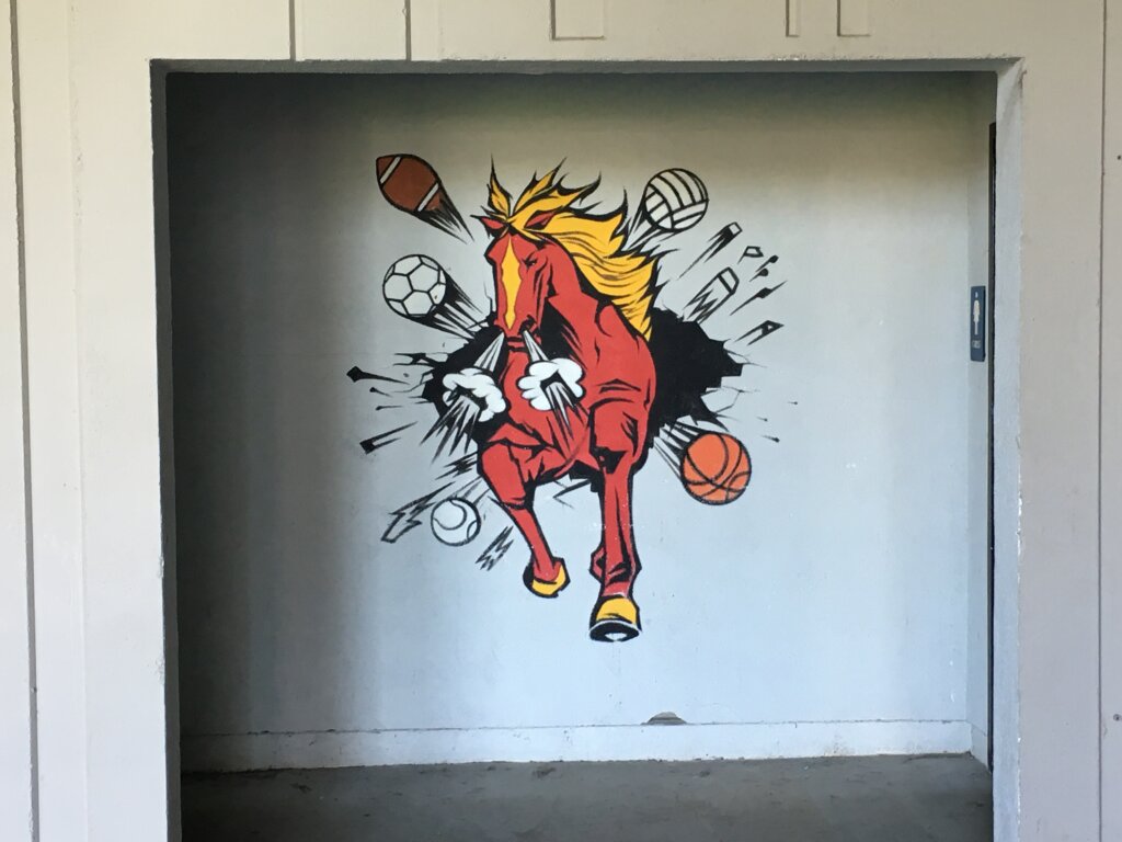 custom school signs Walnut Creek northgate high mascot wall painting